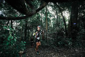 BIB: 
                            <button type="button" onclick="openModal(25390062)" class="btn btn-primary btn-sm float-right btn-popup" data-toggle="modal" data-target=".modal-high-quality">
                        <i class="fas fa-shopping-cart"></i> Add to Cart
                    </button>
                                            <button type="button" onclick="isThisMe(25390062, true)" class="btn btn-success btn-sm float-right btn-popup btn-isme hidden" data-toggle="tooltip" data-placement="bottom" title="นี่คือรูปของคุณใช่ไหม คลิกที่นี่เพื่อเอาเข้าอัลบั้ม">
                        <i class="fas fa-plus"></i> Add to album
                    </button>
                    <button type="button" onclick="isThisMe(25390062, false)" class="btn btn-warning btn-sm float-right btn-popup btn-isnotme hidden">
                        <i class="fas fa-ban"></i> Remove from album
                    </button>